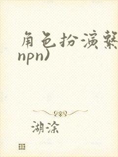 角色扮演系统(npn)