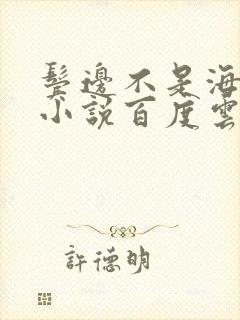 鬓边不是海棠红小说百度云