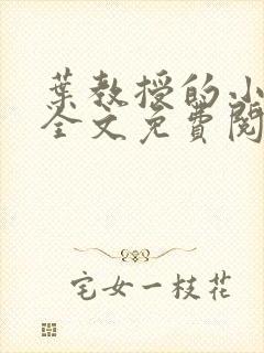 叶教授的小黏糖全文免费阅读