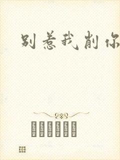 别惹我削你