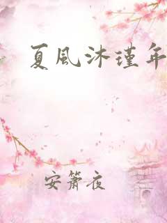 夏风沐瑾年