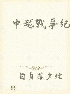 中越战争纪实录