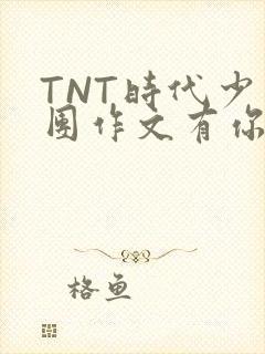 TNT时代少年团作文有你真好