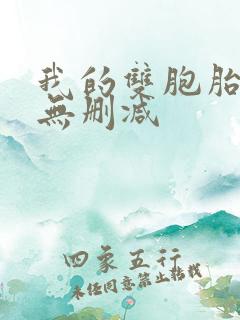 我的双胞胎老婆无删减