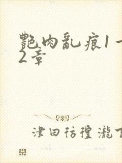 艳肉乱痕1一12章