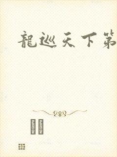 龙巡天下第四部