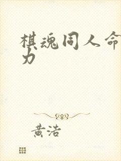 棋魂同人命运之力