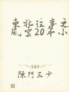 东北往事之黑道风云20年小说