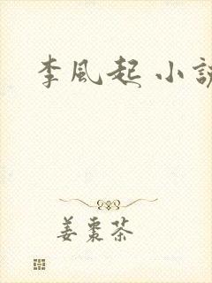 李风起 小说