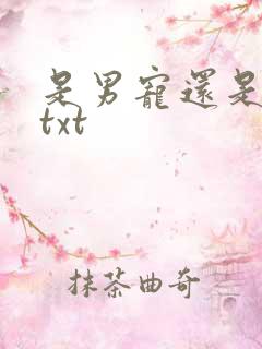 是男宠还是禁脔txt