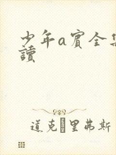 少年a宾全集阅读