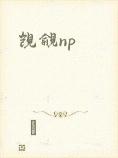 觊觎np