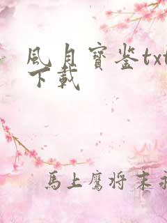 风月宝鉴txt下载