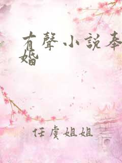 有声小说奉子成婚