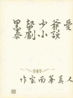 黑帮少爷爱上我泰剧小说