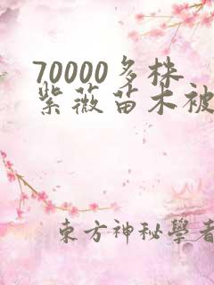 70000多株紫薇苗木被强毁
