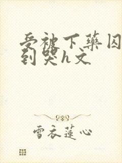 受被下药囚禁脔到哭h文