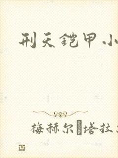 刑天铠甲小说