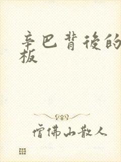 辛巴背后的人老板