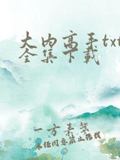 大内高手txt全集下载