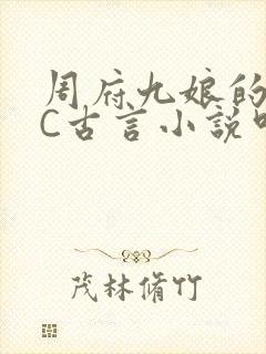 周府九娘的NPC古言小说叫什么