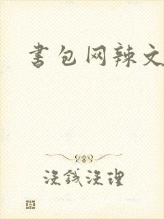 书包网辣文