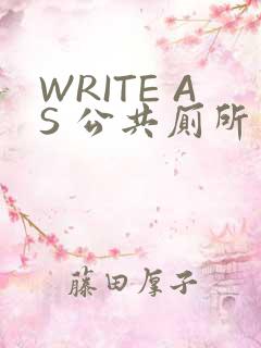 WRITE AS 公共厕所