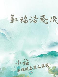 郑福浩飞机坠海