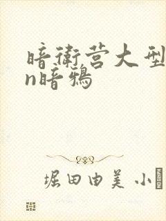 暗卫营大型hpn暗鸦