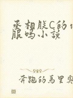 丞相朕C的你舒服吗小说