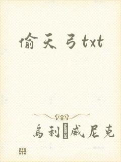 偷天弓txt