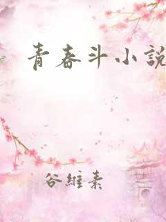 青春斗小说