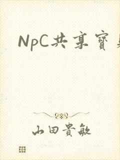 NpC共享宝贝