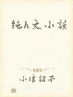 纯h文小说