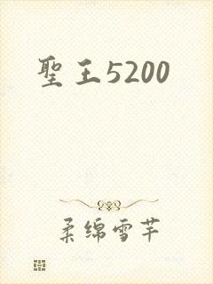 圣王5200