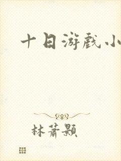 十日游戏小说