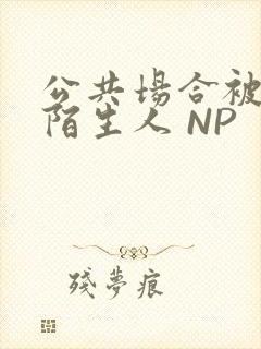 公共场合被各种陌生人 NP