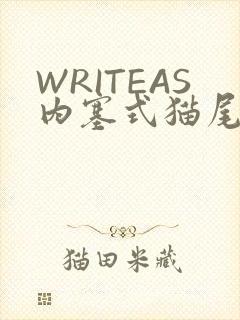 WRITEAS内塞式猫尾