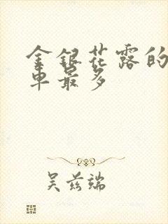 金银花露的哪个车最多