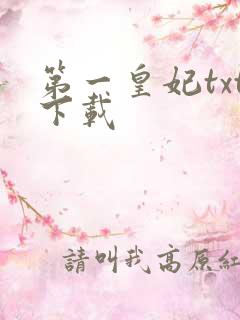 第一皇妃txt下载