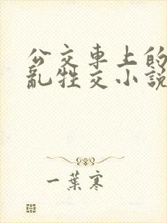 公交车上的疯狂乱牲交小说