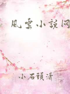 风云小说网