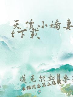 天价小娇妻txt下载