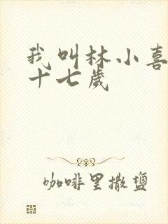 我叫林小喜今年十七岁
