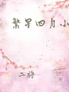繁星四月小说