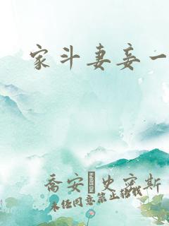 家斗妻妾一家欢