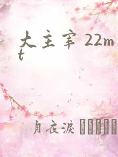 大主宰 22mt