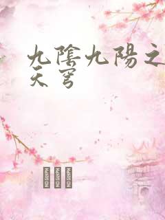 九阴九阳之武战天穹