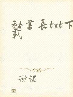 秘书长txt下载