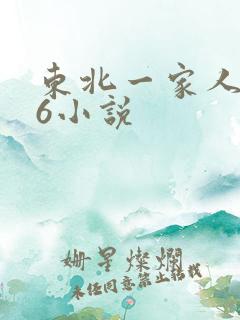 东北一家人1一6小说